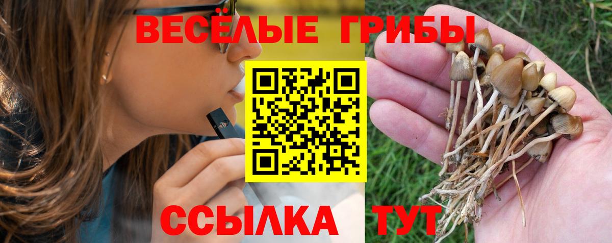 магазин продажи   Галлюциногенные грибы MAGIC MUSHROOMS  Вход с VPN  Ливны  Галлюциногенные грибы мицелий 